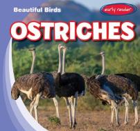 Ostriches di Bray Jacobson edito da GARETH STEVENS INC