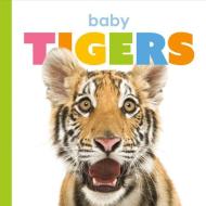 Baby Tigers di Kate Riggs edito da CREATIVE CO