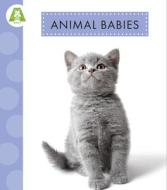 Animal Babies di Anastasia Suen edito da Amicus Learning