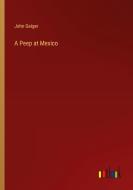 A Peep at Mexico di John Geiger edito da Outlook Verlag