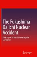 The Fukushima Daiichi Nuclear Accident edito da Springer Verlag, Japan