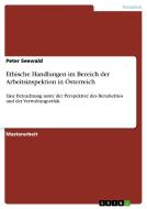 Ethische Handlungen im Bereich der Arbeitsinspektion in Österreich di Peter Seewald edito da GRIN Publishing