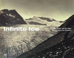 Infinite Ice: The Arctic and the Alps from 1860 to the Present edito da Hatje Cantz Publishers