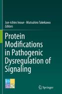 Protein Modifications in Pathogenic Dysregulation of Signaling edito da Springer Verlag, Japan