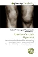 Anterior Cruciate Ligament di Frederic P Miller, Agnes F Vandome, John McBrewster edito da Alphascript Publishing