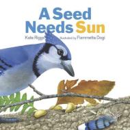 A Seed Needs Sun di Kate Riggs edito da Creative Editions