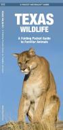 Texas Wildlife: An Introduction to Familiar Species di James Kavanagh edito da Waterford Press