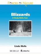 Wells, L:  Blizzards di Linda Wells edito da University of Michigan Press