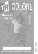 Tricolore Total 1 Grammar in Action Workbook (8 Pack) di Sylvia Honnor, S. Honnor, Heather Mascie-Taylor edito da OXFORD UNIV PR