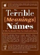 The Terrible Meanings of Names: Or Why You Shouldn't Poke Your Giselle with a Barry di Justin Cord Hayes edito da ADAMS MEDIA