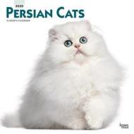 Persian Cats 2020 Square Wall Calendar di Inc Browntrout Publishers edito da Brown Trout