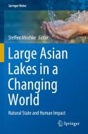Large Asian Lakes in a Changing World edito da Springer International Publishing