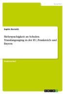 Mehrspachigkeit an Schulen. Translanguaging in der EU, Frankreich und Bayern di Sophie Barwich edito da GRIN Verlag