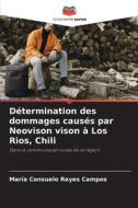 Détermination des dommages causés par Neovison vison à Los Rios, Chili di María Consuelo Reyes Campos edito da Editions Notre Savoir