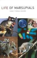Life of Marsupials di Hugh Tyndale-Biscoe edito da CSIRO PUB