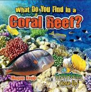 What Do You Find in a Coral Reef? di Megan Kopp edito da CRABTREE PUB