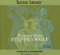 Steppenwolf di Hermann Hesse edito da Audiogo
