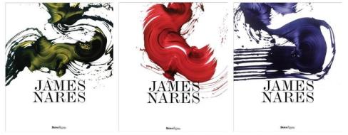 James Nares di Amy Taubin edito da Rizzoli Universe Int. Pub