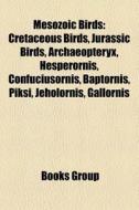 Mesozoic Birds: Cretaceous Birds, Jurassic Birds, Archaeopteryx, Hesperornis, Confuciusornis, Baptornis, Piksi, Jeholornis, Gallornis edito da Books LLC