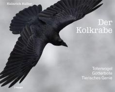 Der Kolkrabe - Totenvogel, Götterbote, tierisches Genie di Heinrich Haller edito da Haupt Verlag AG