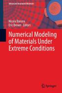 Numerical Modeling of Materials Under Extreme Conditions edito da Springer Berlin Heidelberg