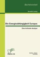 Die Energieabhängigkeit Europas: Eine kritische Analyse di Benedikt Ludwig edito da Bachelor + Master Publishing