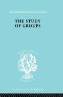The Study of Groups di Josephine Klein edito da Taylor & Francis Ltd