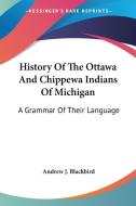 History Of The Ottawa And Chippewa India di ANDREW J. BLACKBIRD edito da Kessinger Publishing