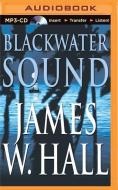 Blackwater Sound di James W. Hall edito da Brilliance Audio