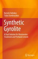Synthetic Gyrolite di Tadas Dambrauskas, K¿stutis Baltakys edito da Springer Nature Switzerland