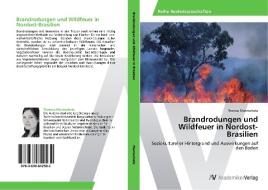 Brandrodungen und Wildfeuer in Nordost-Brasilien di Theresa Mannschatz edito da AV Akademikerverlag