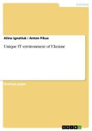 Unique IT environment of Ukraine di Alina Ignatiuk, Anton Pikus edito da GRIN Publishing