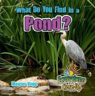 What Do You Find in a Pond? di Megan Kopp edito da CRABTREE PUB
