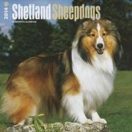 Shetland Sheepdogs Calendar edito da Browntrout Publishers