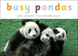 Busy Pandas di John Schindel edito da Tricycle Press
