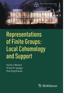 Representations of Finite Groups: Local Cohomology and Support di David J. Benson, Srikanth Iyengar, Henning Krause edito da Springer Basel AG