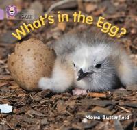 What's in the Egg? di Moira Butterfield edito da HarperCollins Publishers