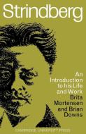 Strindberg di Mortensen, Brita M. E. Mortensen, Brian W. Downs edito da Cambridge University Press