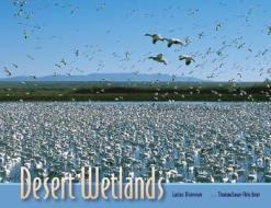 Desert Wetlands di Lucian Niemeyer edito da University of New Mexico Press