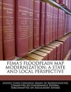 Fema\'s Floodplain Map Modernization: A State And Local Perspective edito da Bibliogov