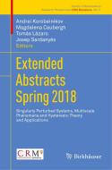 Extended Abstracts Spring 2018 edito da Springer International Publishing