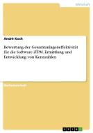 Bewertung der Gesamtanlageneffektivität für die Software iTPM. Ermittlung und Entwicklung von Kennzahlen di André Koch edito da GRIN Verlag