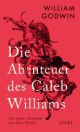 Die Abenteuer des Caleb Williams di William Godwin edito da Steidl GmbH & Co.OHG