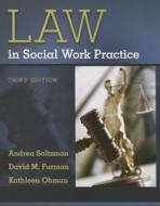 Law in Social Work Practice di Andrea Saltzman, David M. Furman, Kathleen Ohman edito da BROOKS COLE PUB CO