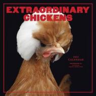 Extraordinary Chickens 2015 Wall Calendar di Stephen Green-Armytage edito da Abrams