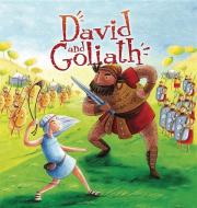 David and Goliath di Cathy Jones, Katherine Scully, Katherine Sully edito da QEB PUB