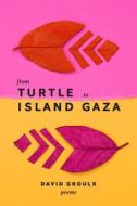 From Turtle Island to Gaza di David Groulx edito da AU PR