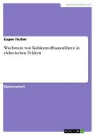Wachstum von Kohlenstoffnanoröhren in elektrischen Feldern di Eugen Fischer edito da GRIN Publishing