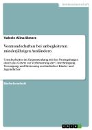 Vormundschaften bei unbegleiteten minderjährigen Ausländern di Valerie Alina Elmers edito da GRIN Publishing