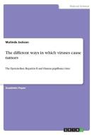 The different ways in which viruses cause tumors di Mutinda Jackson edito da GRIN Verlag